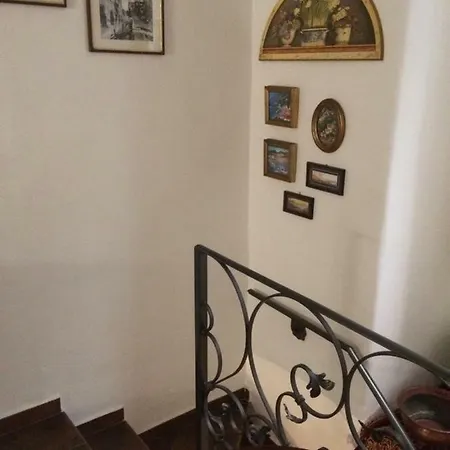 Margherita *